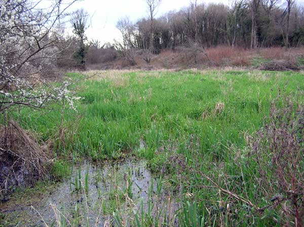 Photo.Flooded.field.marsh.France