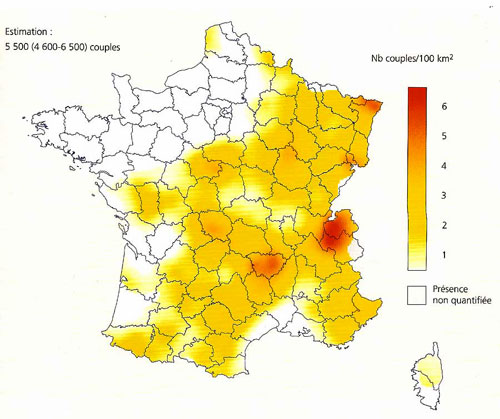 Map Goshawk nesting France