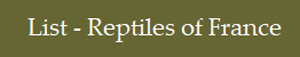 reptiles
