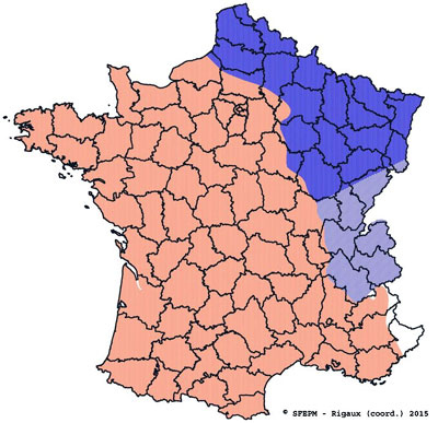 Rat-taupier-mole-rat-water-vole-in-France-Map