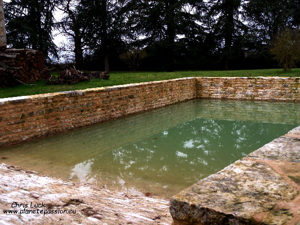 Farmyard-pond-in-France