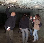 Bats in caves in France